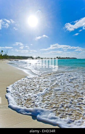 Vue verticale d'une incroyable plage de Cuba. Banque D'Images