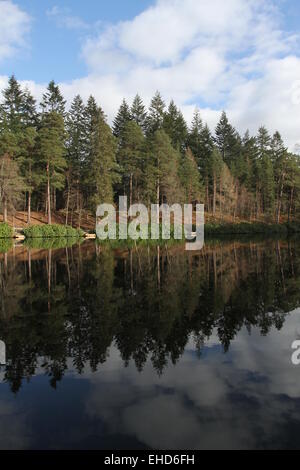 Arbres se reflétant dans le Loch Dunmore Ecosse Mars 2015 Banque D'Images