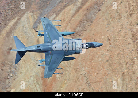 Marine Corps AV-8B Harrier II, tournage dur qu'elle vole à travers un canyon désert faible dans le désert de Mojave, Californie, USA. Banque D'Images