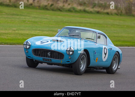 1960 Ferrari 250 GT SWB/c avec chauffeur Richard Attwood, RAC TT course Célébration 2014 Goodwood Revival, Sussex, UK. Banque D'Images