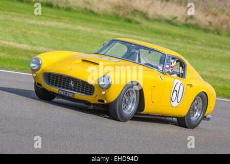 1960 Ferrari 250 GT SWB/c avec chauffeur Christian Horner. TT RAC course à la Célébration 2014 Goodwood Revival, Sussex, UK. Banque D'Images