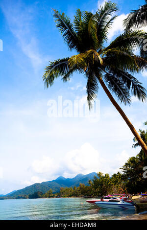 Bateaux sur l'eau et de palmiers. Thaïlande Banque D'Images