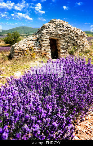 Petit caban d'été lavande coucher de soleil en Provence, France. Banque D'Images