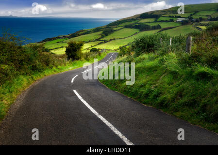 Route près de Torr Head avec des champs verts en arrière-plan. Côte d'Antrim en Irlande du Nord Banque D'Images