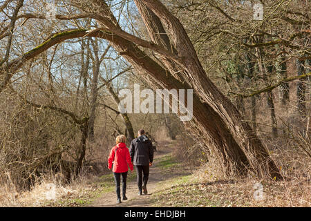 Les gens faire une promenade au bord de l'Elbe près de Sandkrug, Schnakenbek, Schleswig-Holstein, Allemagne Banque D'Images