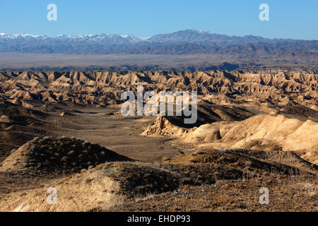 Canyon jaune dans les déserts du Kazakhstan Banque D'Images