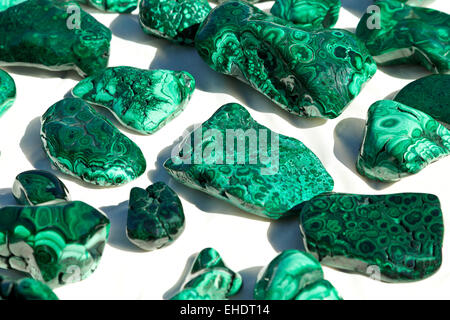 Belles teintes de spécimens de minéraux malachite en vente à Tucson Gem, minéral, et Fossil Show, un événement international. Banque D'Images