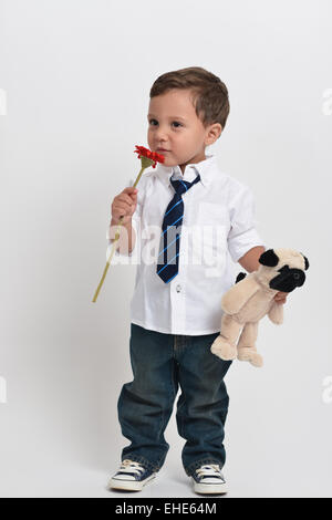 Deux ans cute boy tient une fleur et un animal en peluche posant isolé dans un fond blanc. Banque D'Images