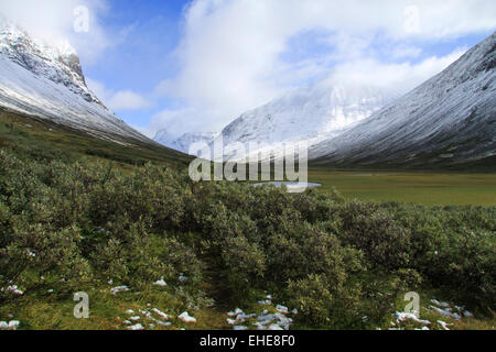 Paysage dans le Parc National de Sarek, Suède Banque D'Images