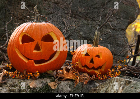 Citrouilles d'Halloween sur les rochers en forêt Banque D'Images