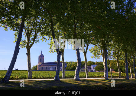 Margaux église de vignoble, Bordeaux, France Banque D'Images