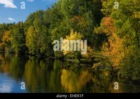 L'automne sur la fourche de l'Est de la rivière Chippewa Banque D'Images