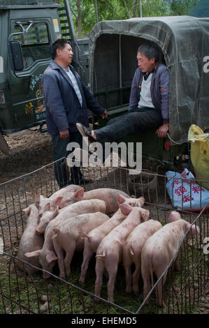 Marché de Shaxi Banque D'Images
