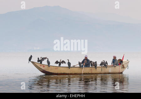 La pêche au cormoran, Erhai Lake Banque D'Images