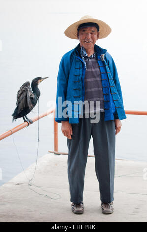 La pêche au cormoran, Erhai Lake Banque D'Images