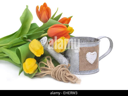 Bouquet de tulipes avec un arrosoir et string sur fond blanc Banque D'Images