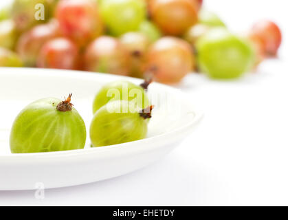 Groseilles isolé sur fond blanc Banque D'Images