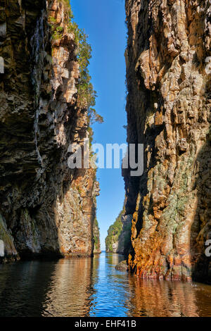 Gorge de fleuve de tempêtes, le parc national de Tsitsikamma, Garden Route, Eastern Cape, Afrique du Sud Banque D'Images