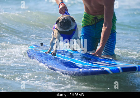 2014 Chien Surf Surf-A-Thon présenté par le Helen Woodward Animal Center où : Del Mar, California, United States Quand : 07 mai 2014 Banque D'Images