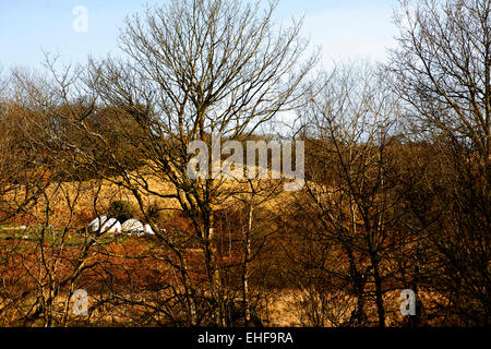 Yourtes à travers les arbres à une communauté écologique Tipi Valley près de Talley au Pays de Galles. Banque D'Images