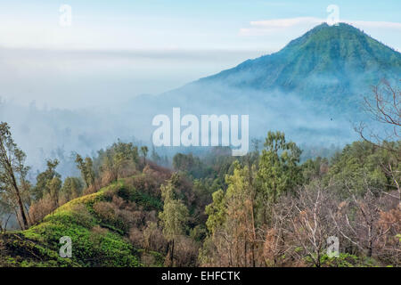 Vue sur la crête volcanique de Java, Indonésie Banque D'Images