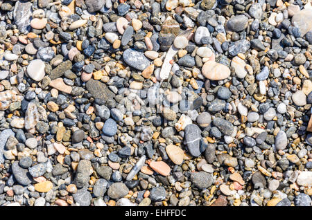 Galets sur la plage Banque D'Images