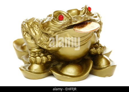 Grenouille Feng Shui assis sur l'argent. Banque D'Images