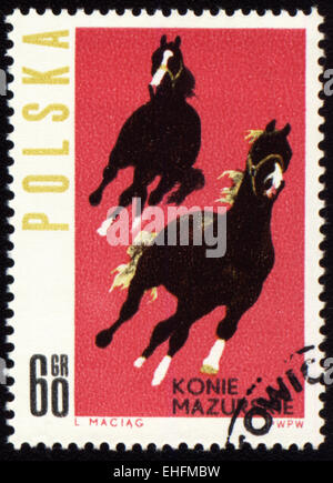 Pologne - circa 1963 : timbres en Pologne montre chevaux Mazurskie Banque D'Images