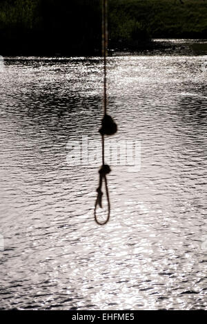 Rope swing qui pèsent sur le lac en Mc Laren falls park à Tauranga, Nouvelle-Zélande. Banque D'Images