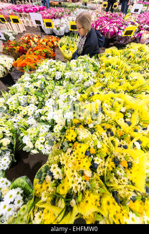 Bedfordshire, Royaume-Uni. 13 mars, 2015. Une masse de fleurs colorées sont en vente à la Sabine's flower grossistes près de Sandy Bedfordshire, en prévision de la Fête des mères qui est le dimanche 15 mars. Le cellier à température contrôlée contient des milliers de fleurs et bouquets pour distribution aux fleuristes locaux et des détaillants en vue de les précipiter pour acheter des fleurs que présente cette semaine. Credit : Julian Eales/Alamy Live News Banque D'Images