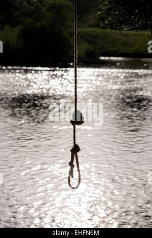 Rope swing qui pèsent sur le lac en Mc Laren falls park à Tauranga, Nouvelle-Zélande. Banque D'Images