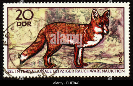 Rda - circa 1970 : poster de timbres en RDA) est rouge fox Banque D'Images