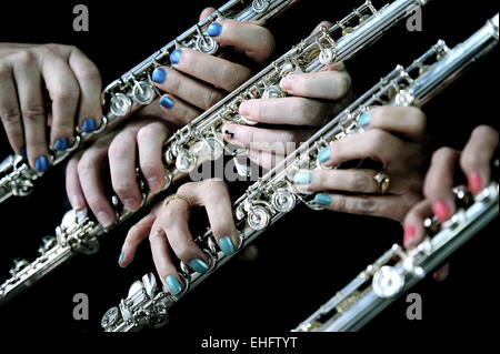 Flute Quartet, Close up sur les mains à fond noir. Mains sur ma flûte, de nombreux flûtistes. Flûte Jazz Quartet. Quatuor de musique classique flûte. Banque D'Images