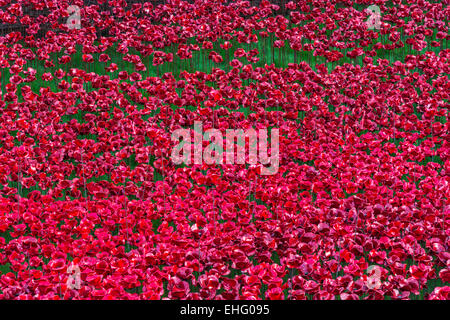 Le jour du Souvenir coquelicot céramique affichage à la Tour de Londres dans le centre de Londres, UK marquant le centenaire de l'apparition de WW1 Banque D'Images