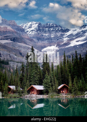 Cabines au lac O'Hara. Parc national Yoho, Plateau Opabin, British Columbia, Canada Banque D'Images