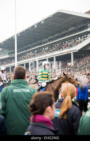 Cheltenham, Royaume-Uni. 13Th Mar, 2015. A P McCoy équitation Carlingford Lough dans son apparence Cheltenham Gold Cup final avant de prendre sa retraite le vendredi 13 mai 2015 à l'Hippodrome de Cheltenham, Royaume-Uni. © Daniel Fisher/Alamy Live News Banque D'Images