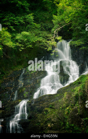 Chute, le Parc National de Killarney, Irlande. Banque D'Images