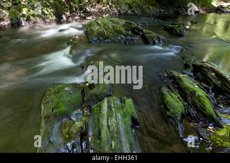 Cours d'un ruisseau Banque D'Images