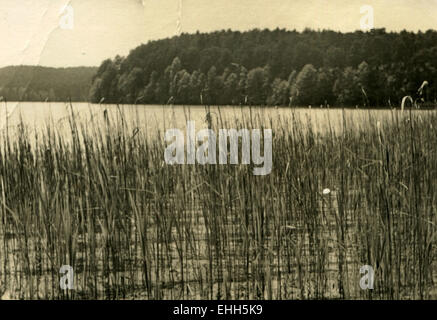 L'Allemagne. Mar 11, 2015. Vers 1960:vue sur le lac, les rives sont couvertes de roseaux © Igor Golovniov/ZUMA/ZUMAPRESS.com/Alamy fil Live News Banque D'Images