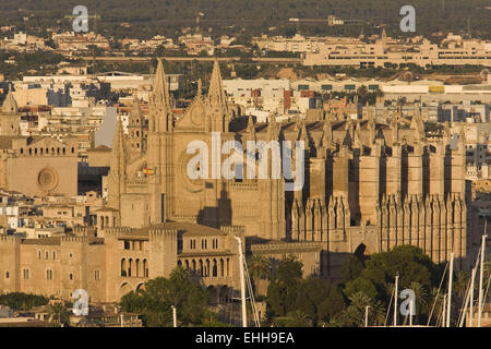 La cathédrale et le port de Palma de Majorque, LE S Banque D'Images