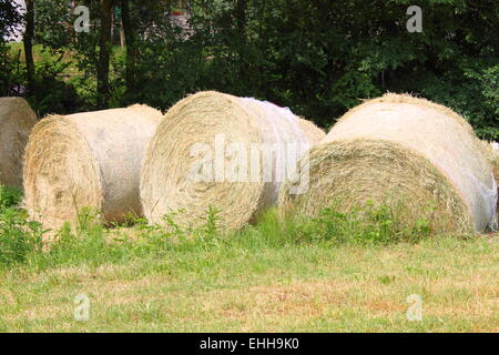 Balles de foin Banque D'Images