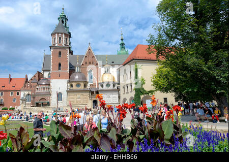 Cathédrale du Château Royal de Wawel à Cracovie Banque D'Images