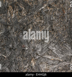 Fragment sur bois de chauffage Banque D'Images