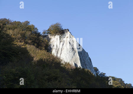 Falaises de craie de Rügen Banque D'Images