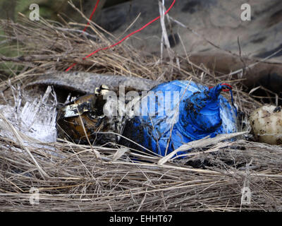 Lugansk, Ukraine. 12Th Mar, 2015. Radio-commandée dispositif explosif -- Groupe de travail Service de sécurité de Lukraine avec la police le jeudi 12 mars 2015, a empêché un attentat terroriste près de l'infrastructure essentielle de la région - route et chemin de fer dans la région de Luhansk. Les agents d'application de la loi trouvent sur le côté de la route 'Lisichansk-Artemivs'k' dispositif explosif de mesures indiquées, déguisé comme un extincteur. Crédit : Igor Golovnov/Alamy Live News Banque D'Images