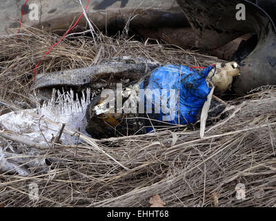 Lugansk, Ukraine. 12Th Mar, 2015. Radio-commandée dispositif explosif -- Groupe de travail Service de sécurité de Lukraine avec la police le jeudi 12 mars 2015, a empêché un attentat terroriste près de l'infrastructure essentielle de la région - route et chemin de fer dans la région de Luhansk. Les agents d'application de la loi trouvent sur le côté de la route 'Lisichansk-Artemivs'k' dispositif explosif de mesures indiquées, déguisé comme un extincteur. Crédit : Igor Golovnov/Alamy Live News Banque D'Images