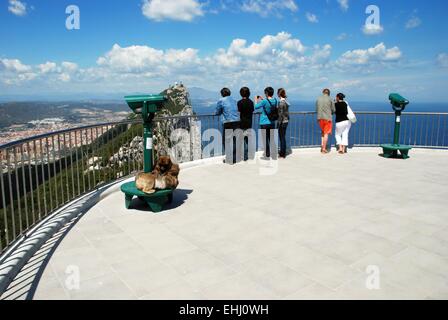 Les touristes et les singes de Barbarie sur la plate-forme d'observation avec la roche et le littoral espagnol à l'arrière, Gibraltar, Royaume-Uni Banque D'Images