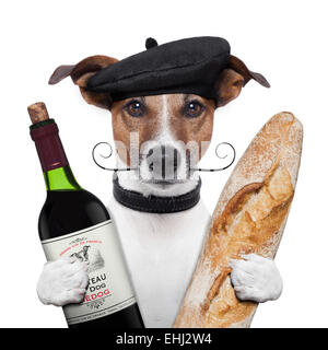 Chien français béret baguette vin Banque D'Images