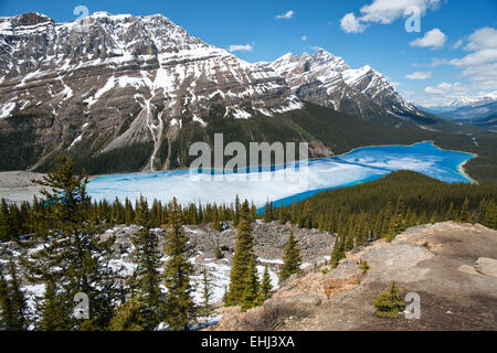 Le lac Peyto BANFF NATIONAL PARK ALBERTA CANADA Banque D'Images