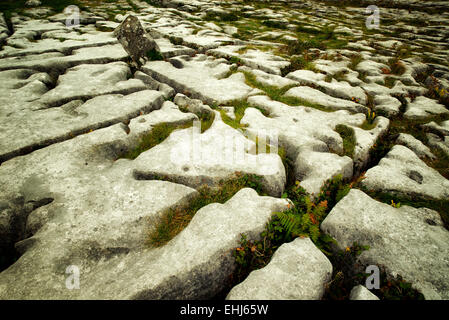 Rock formation karstique près de la tombe mégalithique de Poulnabrone appelé. Le Burren, Irlande Banque D'Images